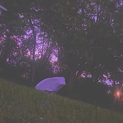 Stay Forever