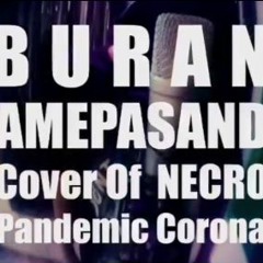 BURAN - AmePasand (Free style)