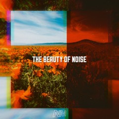 The Beauty Of Noise