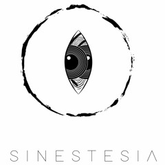 Playlist Vinilos a la venta @ Sinestesia Record Store/Studio/Distribution 2024