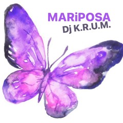 Mariposa ( Dj K.R.U.M. Urban MIX 2023 )