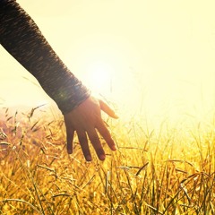 Dreamzone7 - End And Beginning (Marc Airway Remix)