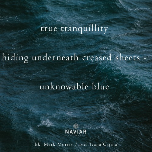 Beneath Your  Waves (naviarhaiku325)