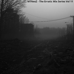 The Erratic Mix Series Vol 11