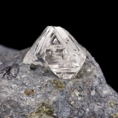 Diamond in the ruff (Ain’t nothing new under the sun)