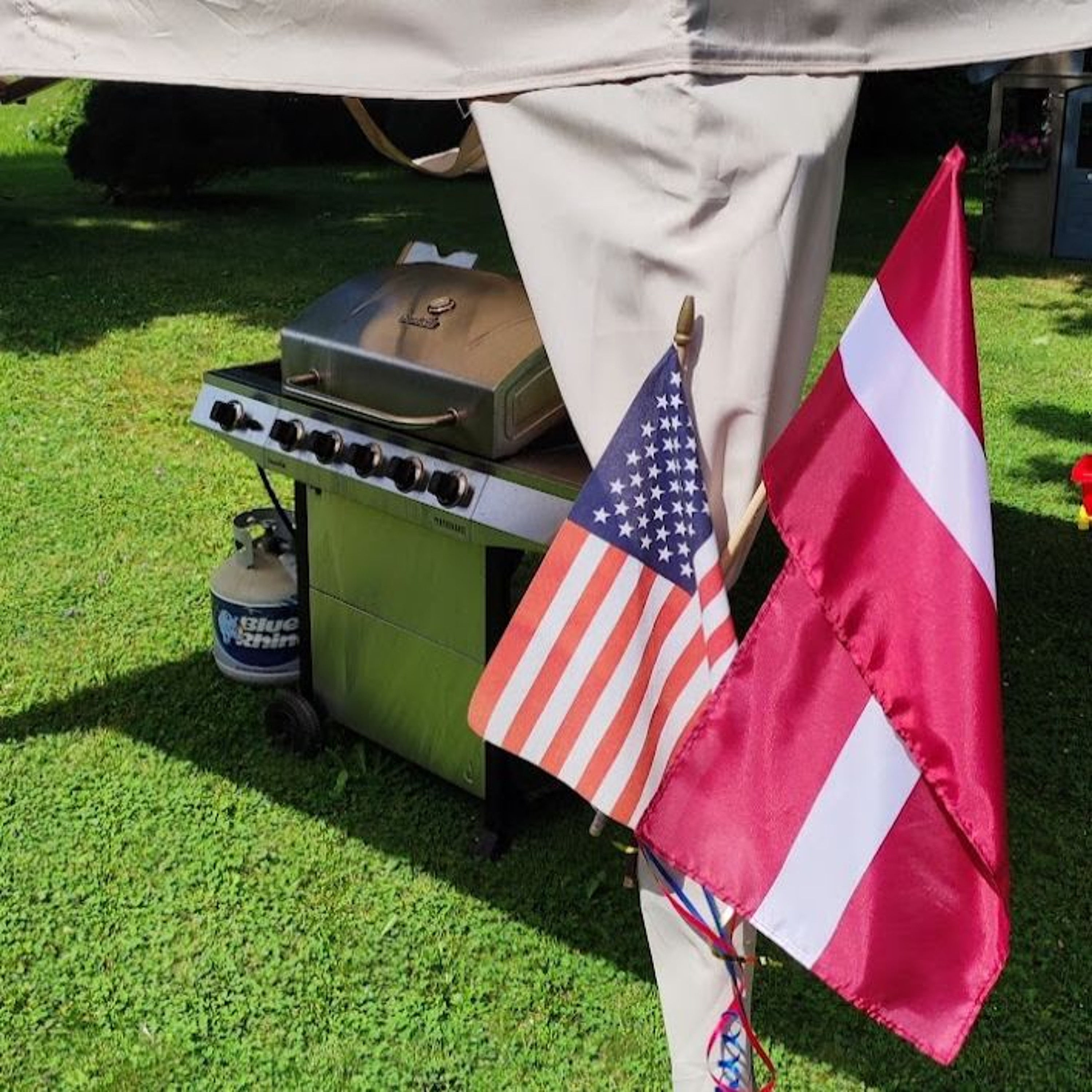 LW #226: Otto at the NATO Summit, Deadly Drivers, and News from June 28th - July 4th, 2024 LW #226: Otto at the NATO Summit, Deadly Drivers, and News from June 28th - July 4th, 2024