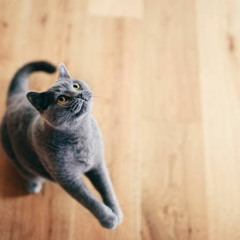 Почему Андрей Вертий — это передышка, в которой мы все нуждаемся прямо сейчас