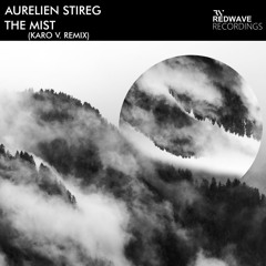 Aurelien Stireg - The Mist (Karo V. Remix)