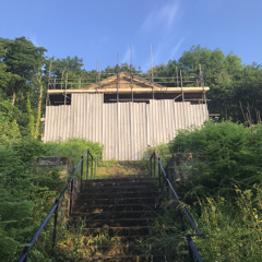 echos answer (broadcast cover)