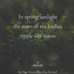 Ripple [naviarhaiku604]