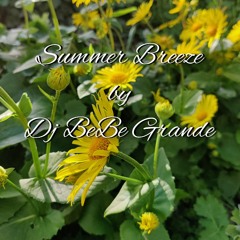 Summer Breeze