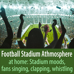 Crowd Screaming, Soccer Stadium Atmosphere Pure