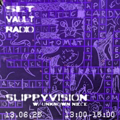 13.06.25 - SLIPPYVISION w/ unknown niece