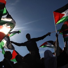 ANA DAMMIE FALASTEENI - REMIX - BABA