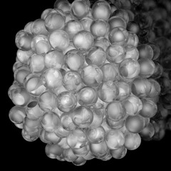 An hour of house in my house