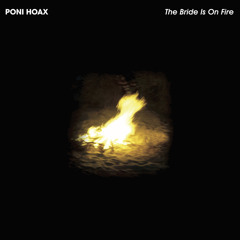 Principles of Geometry's Poni hoax's Paper Bride (Principles of Geometry Remix)
