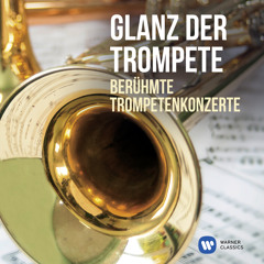 Trumpet Concerto in E-Flat Major, Hob. VIIe:1: I. Allegro (feat. Anneke Uittenbosch & Gustav Leonhardt)