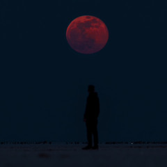 Honeymoon