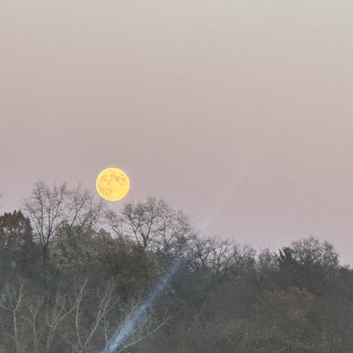 Watch The Moon Freestyle pt. 2 [prod. cxka]