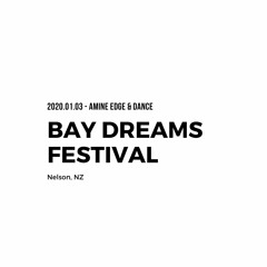 2020.01.03 - Amine Edge & DANCE @ Bay Dreams Festival, Nelson, NZ