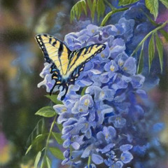 State (concept) slow&revnorm