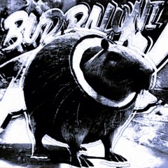 BURBALONI FUNK R.F