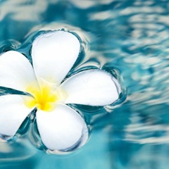 أمِّي فداكِ روحِي ❤️❤️