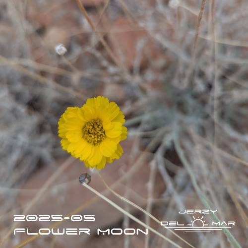 2025-05-Flower-Moon