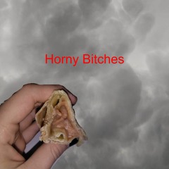 Horny Bitches (Prod. Riddiman)