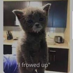 Scilo - Lowkey (Umbodit)