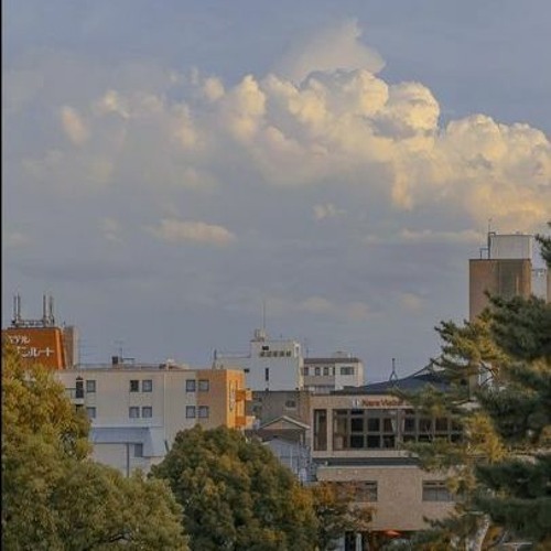 Hold Yr Terror Close - The Go! Team (slowed + reverb)