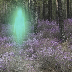 Polly~Moses Sumney(Slowed+Reverb)