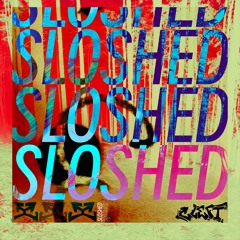 Sloshed