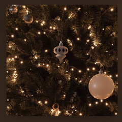 Carol Of The DNBells