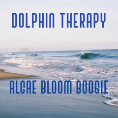 Algae Bloom Boogy (DJ Set @Nectar 12/11/22)