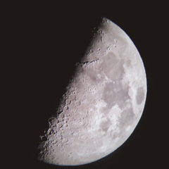 Introspection Phase 1 (acoustic version)