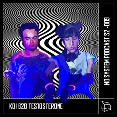 NO SYSTEM 024 - KOI + TESTOSTERONE