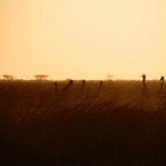 Copo que Não Esquece
