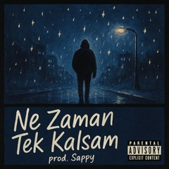 Ne Zaman Tek Kalsam