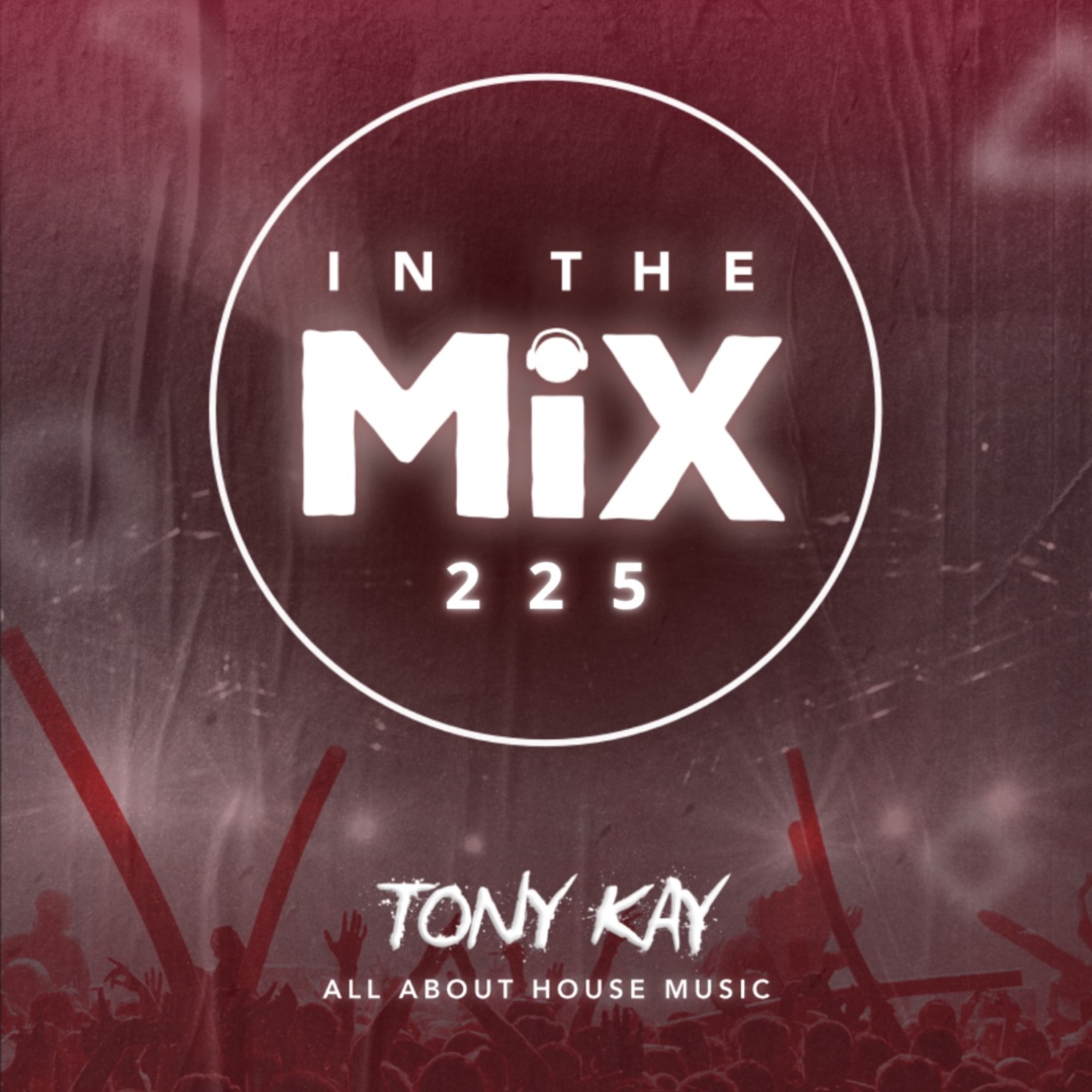 In The Mix 225 episode artwork