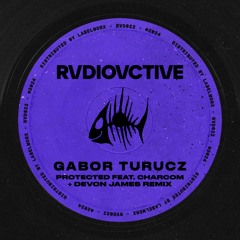 Protected (Instrumental Mix) [Snippet]