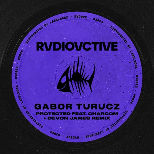 Protected (Instrumental Mix) [Snippet]
