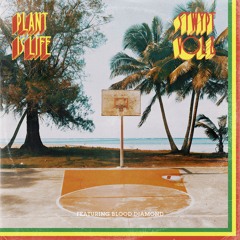 Songs To Water Your Plants To Vol. 4 (ft. BLOOD DIAMOND)