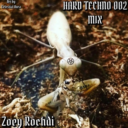 HARD TECHNO MIX 002