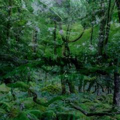 clarity [full stream]