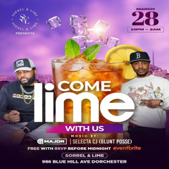 Blunt Posse @ Sorrel & Lime 3/25 (Boston)