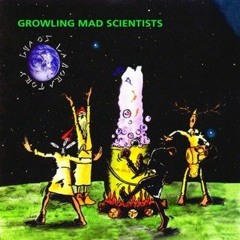 Growling Mad Scientists -  The Crow (Riktam Matkin - Bansi Quinteros Remix)