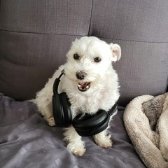 Mixed/Produced by me