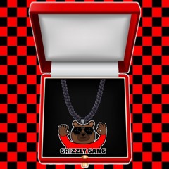 pepeGRIZZLY - 6RIZZLY 6AN6 - prod  - ( imsickofvader )