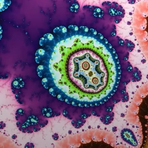 Tekkenheimer - Infusion